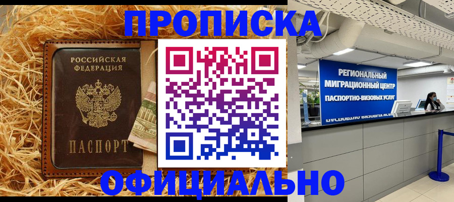 временная регистрация поиск в Тереке